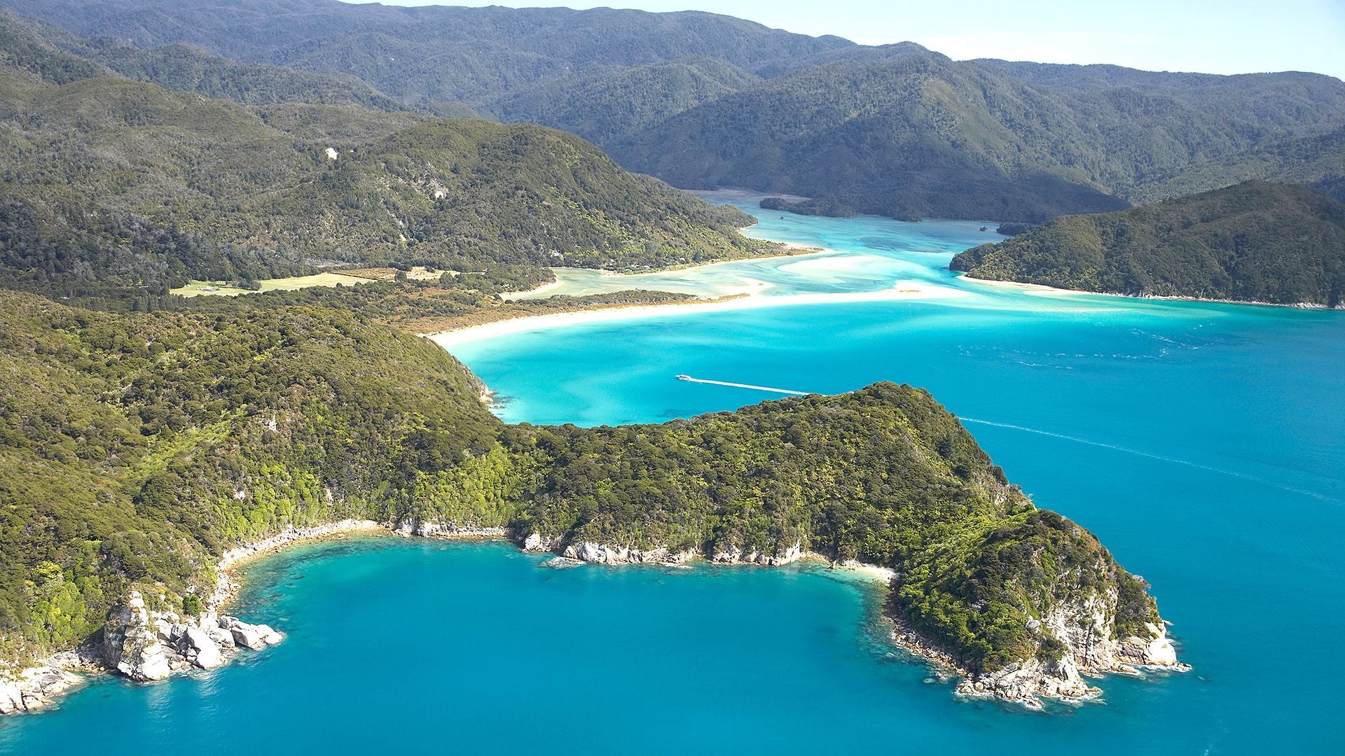 New Zealand's Most Popular Beaches