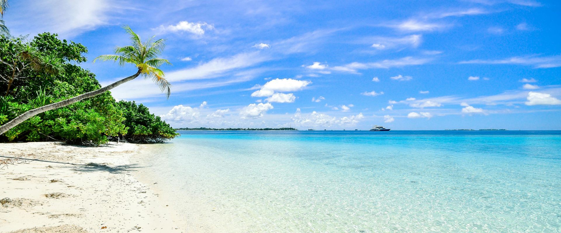 mens-swim-shorts-bistro-st-tropez