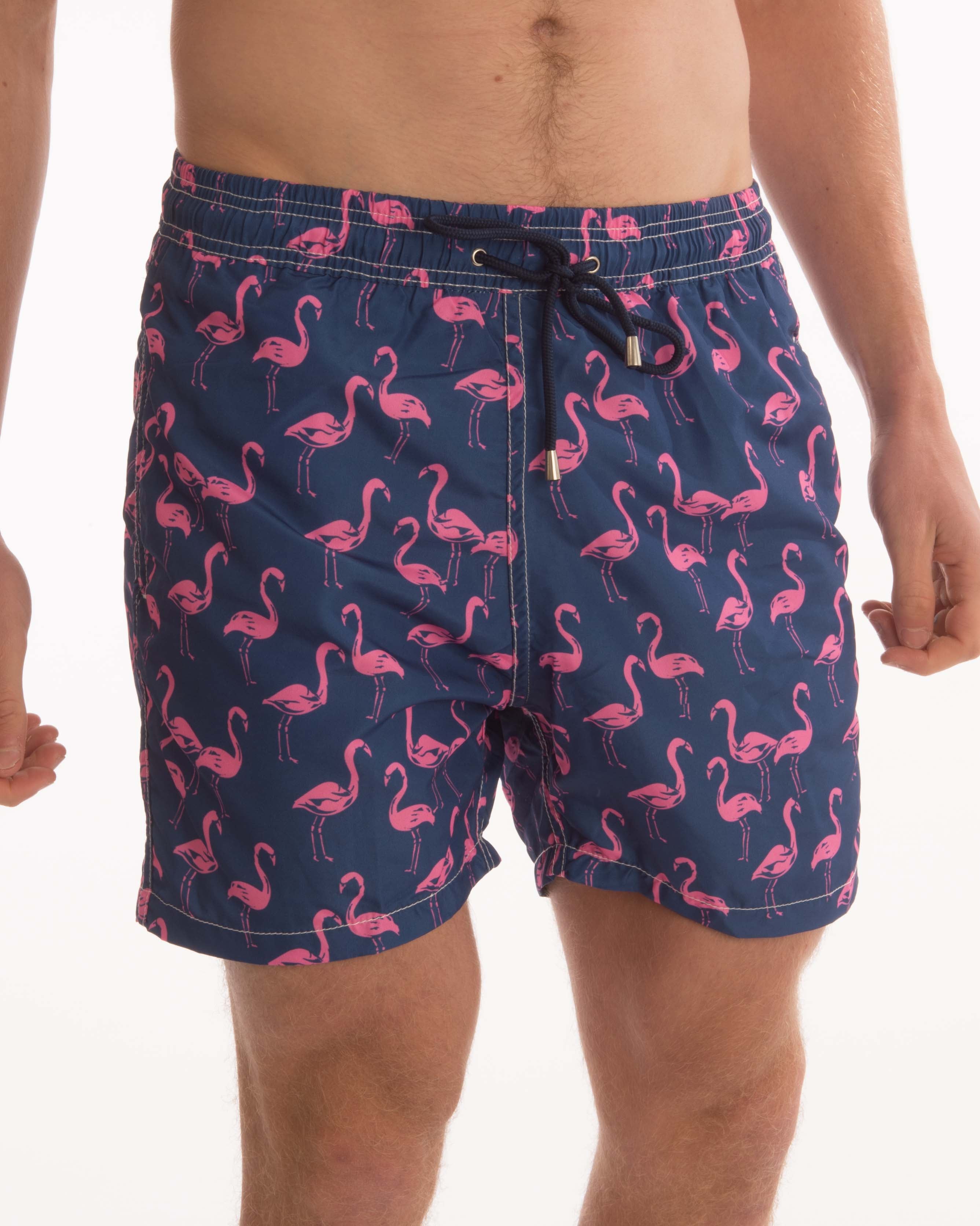 Flamingo Splendid Board Shorts