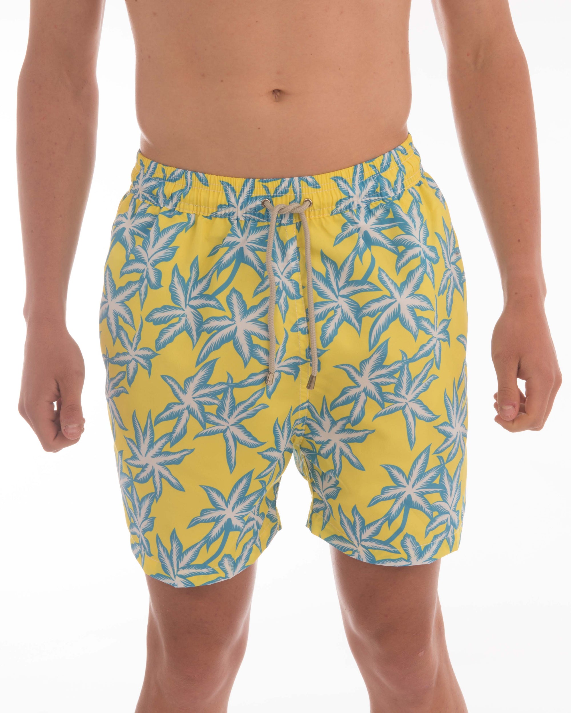 Leaf Board Shorts - Bistro StTropez