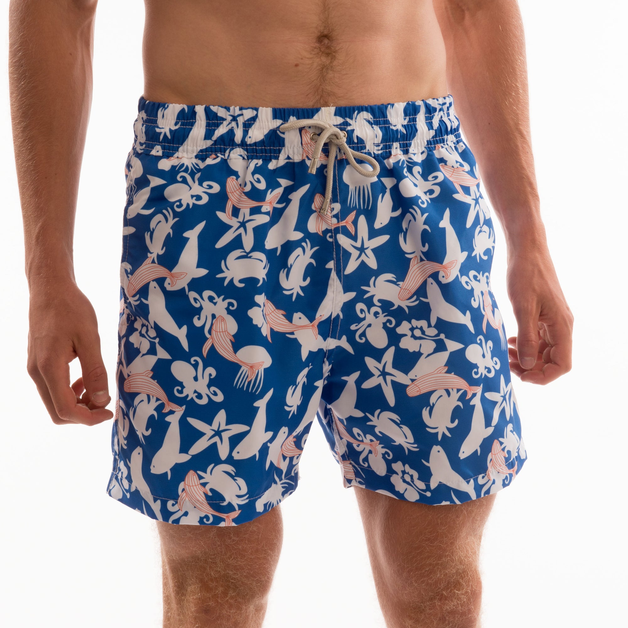 Sea Life Board Shorts & Swimwear