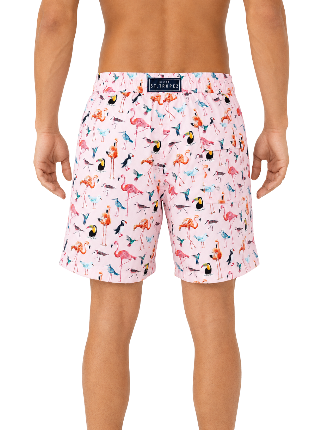 Flamingo Bird Board Short - Bistro StTropez
