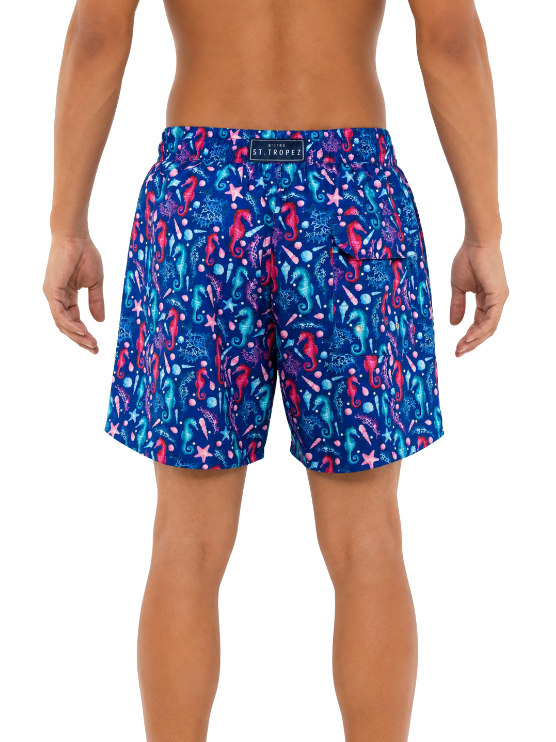Seahorse Boys Board Short - Bistro StTropez