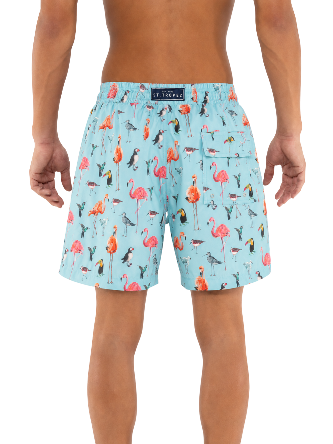 Flamingo Bird Board Short - Bistro StTropez