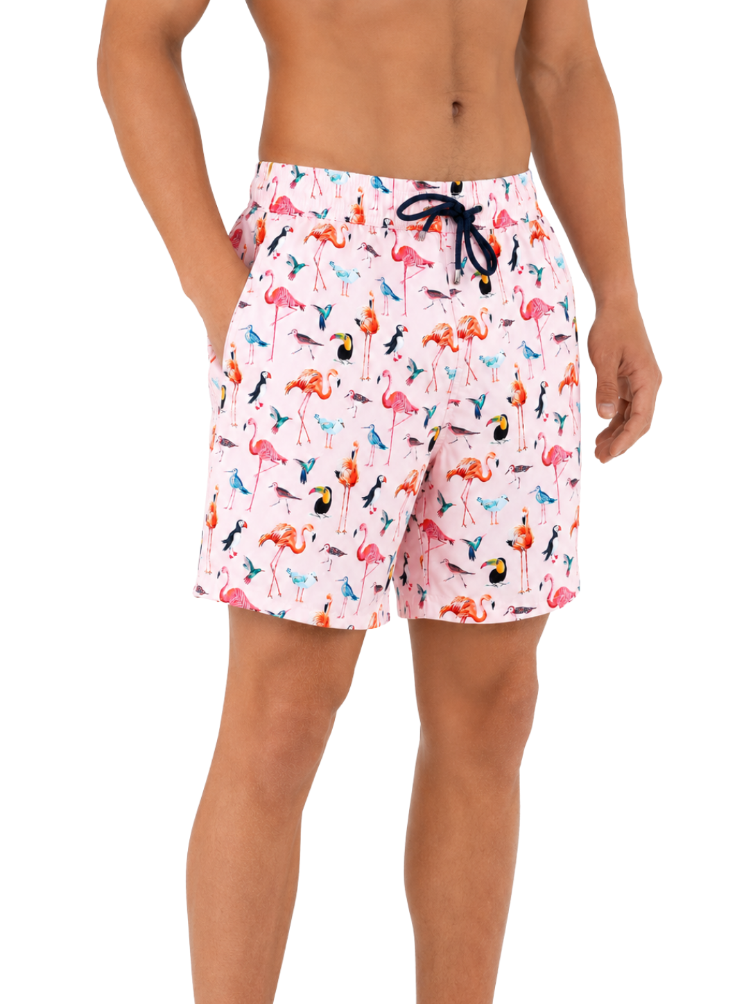 Flamingo Bird Board Short - Bistro StTropez